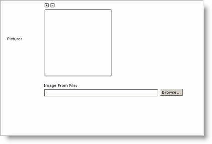 Section displaying a blank Picture field and a Browse button to select an Image From File